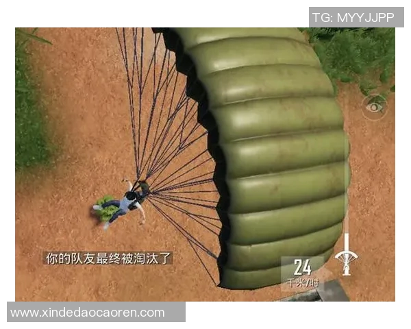 和平精英热议EDG速度之争引发玩家热烈讨论与不同观点碰撞