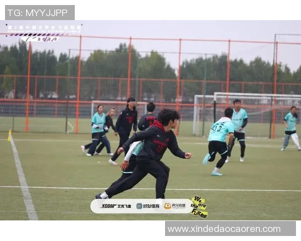 武汉飞盘队技术之争引发热议球员与教练各执己见的背后故事