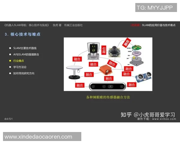 深圳排球队盯防战术深度解析与实战应用探讨