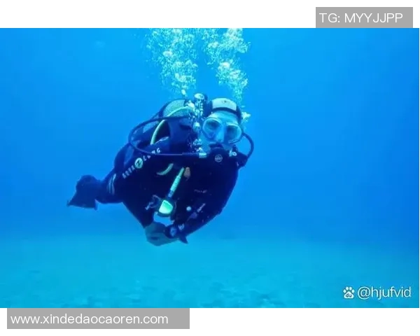 时尚与功能兼备的潜水泳装设计，带你探索海底世界的极致体验