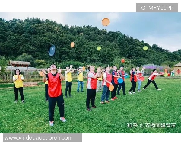 飞盘团队协作新高峰杭州飞盘队展现卓越实力与团队精神